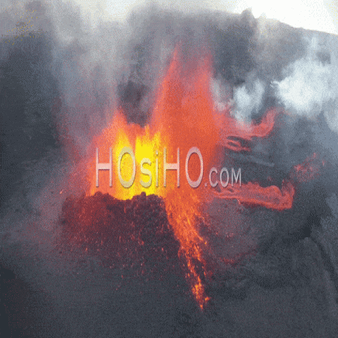 HOsiHO.com 2.0 platform unveiled !