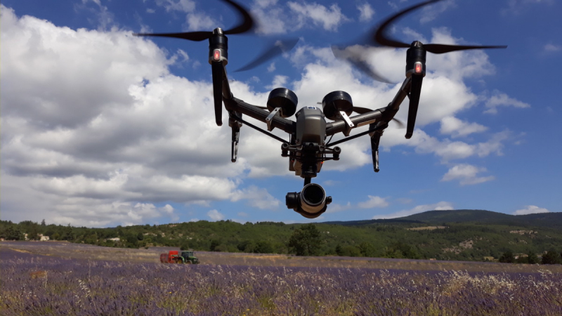 Drone Inspire 2 en vol devant champs de Lavandes à Sault lors de la récolte le 18 Juillet 2020 © Drone-Pictures